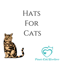 Cat Print Beret in Teal Fleece Made to Order